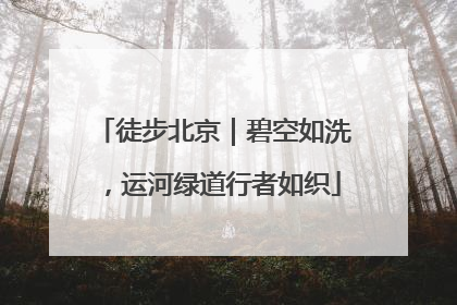 徒步北京｜碧空如洗，运河绿道行者如织