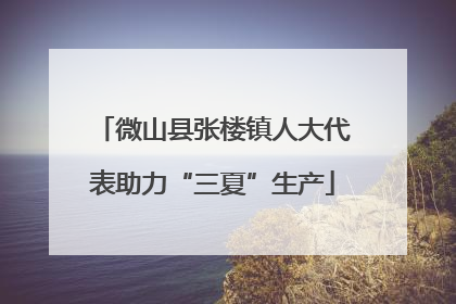 微山县张楼镇人大代表助力“三夏”生产