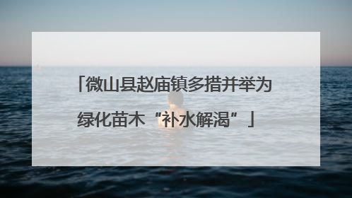 微山县赵庙镇多措并举为绿化苗木“补水解渴”