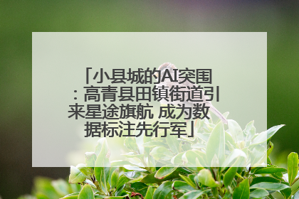 小县城的AI突围：高青县田镇街道引来星途旗航 成为数据标注先行军