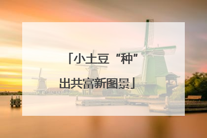 小土豆“种”出共富新图景