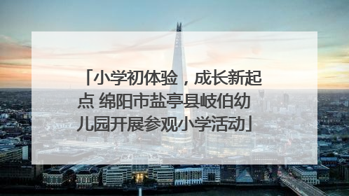 小学初体验，成长新起点 绵阳市盐亭县岐伯幼儿园开展参观小学活动