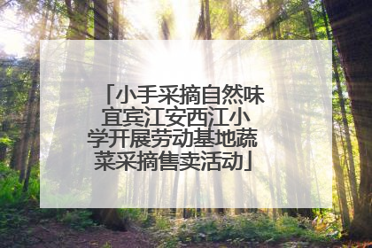 小手采摘自然味 宜宾江安西江小学开展劳动基地蔬菜采摘售卖活动