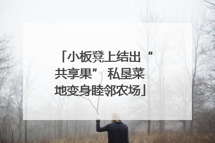小板凳上结出“共享果” 私垦菜地变身睦邻农场