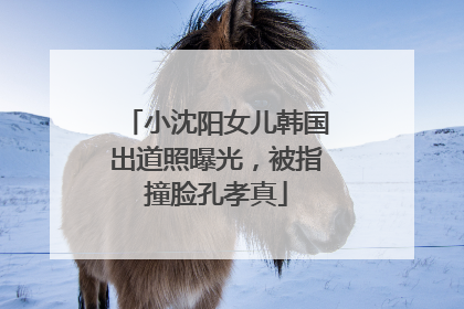 小沈阳女儿韩国出道照曝光，被指撞脸孔孝真