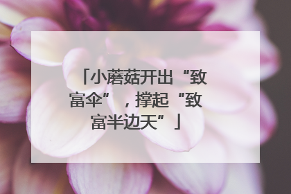 小蘑菇开出“致富伞”，撑起“致富半边天”