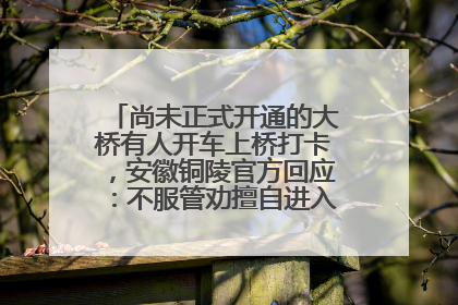 尚未正式开通的大桥有人开车上桥打卡，安徽铜陵官方回应：不服管劝擅自进入，已采取措施