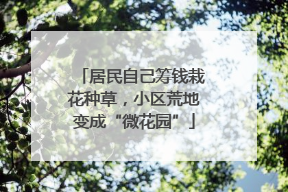 居民自己筹钱栽花种草，小区荒地变成“微花园”