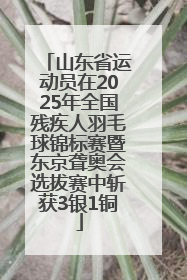 山东省运动员在2025年全国残疾人羽毛球锦标赛暨东京聋奥会选拔赛中斩获3银1铜