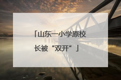 山东一小学原校长被“双开”