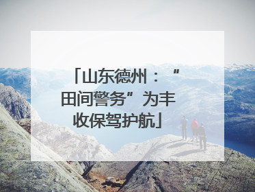 山东德州：“田间警务”为丰收保驾护航