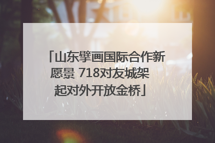 山东擘画国际合作新愿景 718对友城架起对外开放金桥