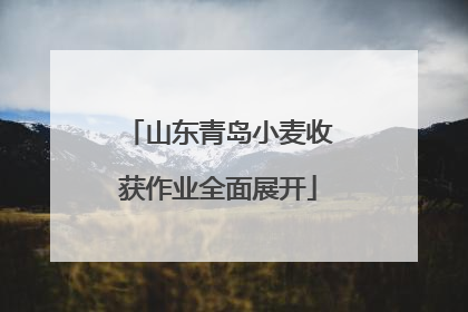 山东青岛小麦收获作业全面展开