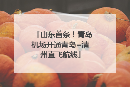 山东首条！青岛机场开通青岛=清州直飞航线