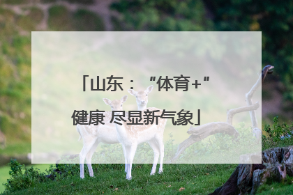 山东：“体育+”健康 尽显新气象