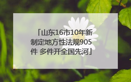 山东16市10年新制定地方性法规905件 多件开全国先河