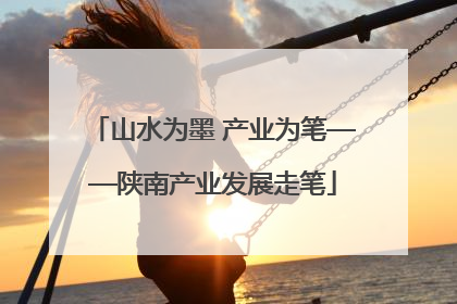 山水为墨 产业为笔——陕南产业发展走笔