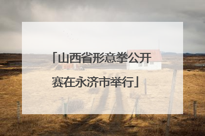 山西省形意拳公开赛在永济市举行