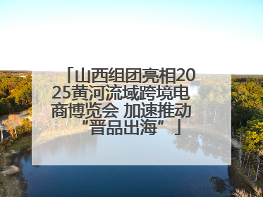 山西组团亮相2025黄河流域跨境电商博览会 加速推动“晋品出海”