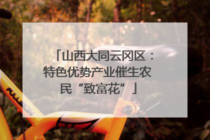 山西大同云冈区：特色优势产业催生农民“致富花”