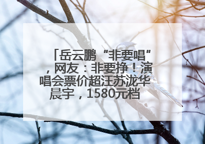 岳云鹏“非要唱”，网友：非要挣！演唱会票价超汪苏泷华晨宇，1580元档20秒抢空