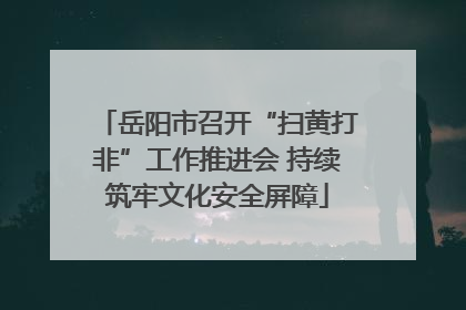岳阳市召开“扫黄打非”工作推进会 持续筑牢文化安全屏障