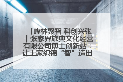 峰林聚智 科创兴张丨张家界旅典文化经营有限公司博士创新站：让土家织锦“智”造出非遗新传奇