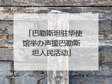 巴勒斯坦驻华使馆举办声援巴勒斯坦人民活动