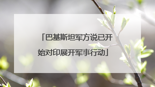 巴基斯坦军方说已开始对印展开军事行动