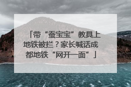 带“蚕宝宝”教具上地铁被拦？家长喊话成都地铁“网开一面”