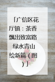 广信区花厅镇：茶香飘出致富路 绿水青山绘新篇（图）