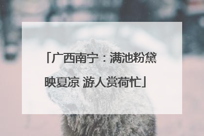 广西南宁：满池粉黛映夏凉 游人赏荷忙
