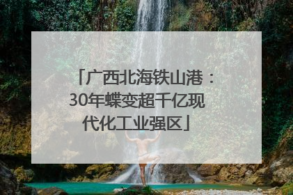 广西北海铁山港：30年蝶变超千亿现代化工业强区