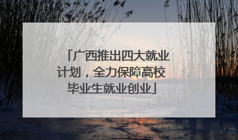广西推出四大就业计划，全力保障高校毕业生就业创业