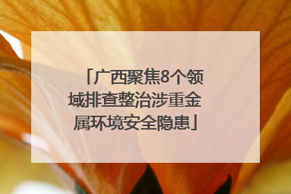 广西聚焦8个领域排查整治涉重金属环境安全隐患