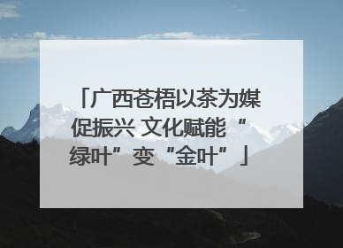 广西苍梧以茶为媒促振兴 文化赋能“绿叶”变“金叶”