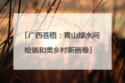 广西苍梧：青山绿水间绘就和美乡村新画卷