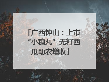 广西钟山：上市“小糖丸”无籽西瓜助农增收