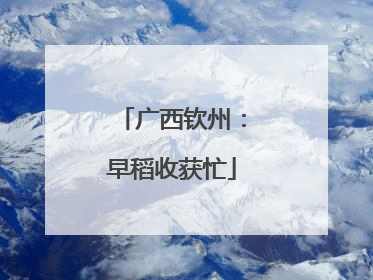 广西钦州：早稻收获忙