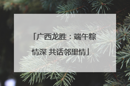 广西龙胜：端午粽情深 共话邻里情