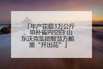 年产花菇3万公斤、填补省内空白 山东沃克集团智慧方舱里“开出花”