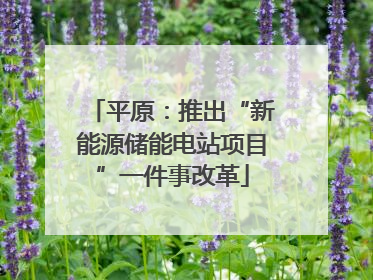 平原：推出“新能源储能电站项目”一件事改革