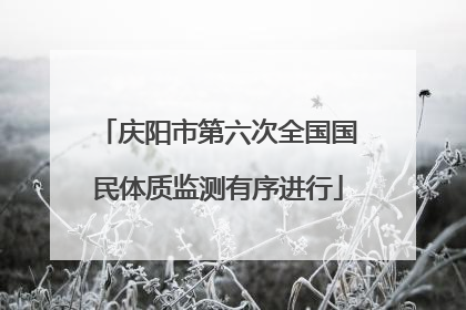 庆阳市第六次全国国民体质监测有序进行