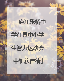 庐江乐桥中学在县中小学生智力运动会中斩获佳绩