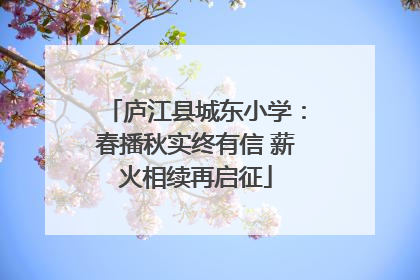 庐江县城东小学：春播秋实终有信 薪火相续再启征