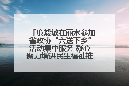 廉毅敏在丽水参加省政协“六送下乡”活动集中服务 凝心聚力增进民生福祉推进共同富裕