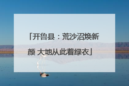 开鲁县：荒沙沼焕新颜 大地从此着绿衣