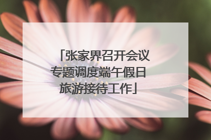 张家界召开会议专题调度端午假日旅游接待工作