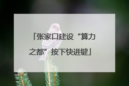 张家口建设“算力之都”按下快进键