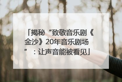 揭秘“致敬音乐剧《金沙》20年音乐剧场”：让声音能被看见